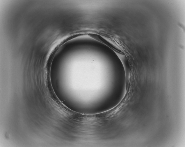 X0000099430342200805091255