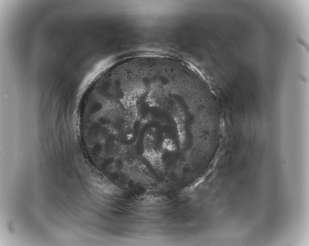 X0000099430343200805091255