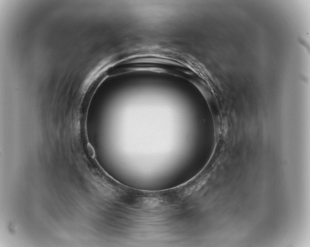 X0000099430344200805091255
