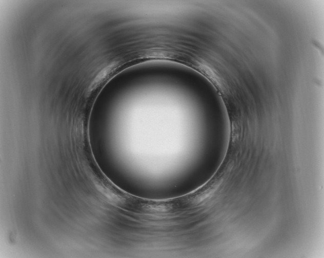 X0000099430349200805091255