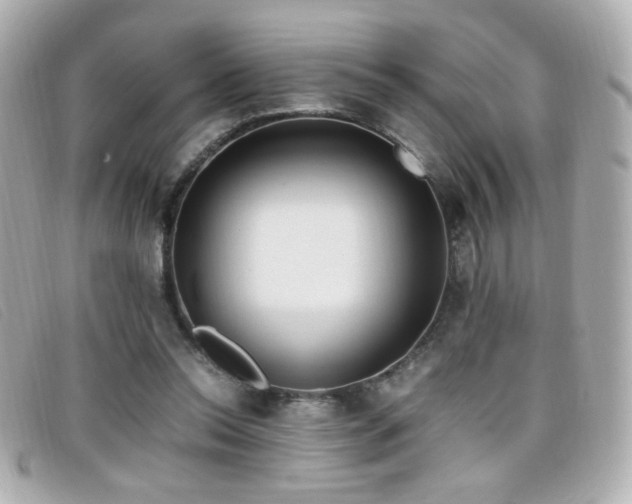 X0000099430350200805091255