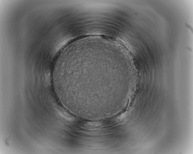 X0000099430351200805091255