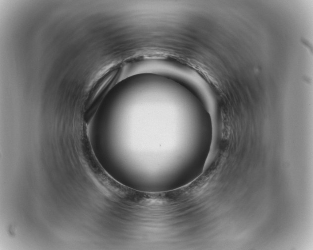 X0000099430352200805091255
