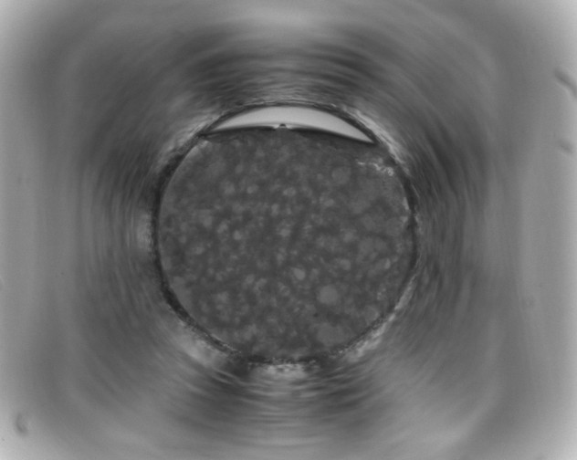 X0000099430353200805091255