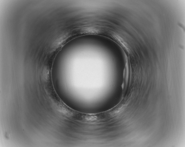 X0000099430355200805091255