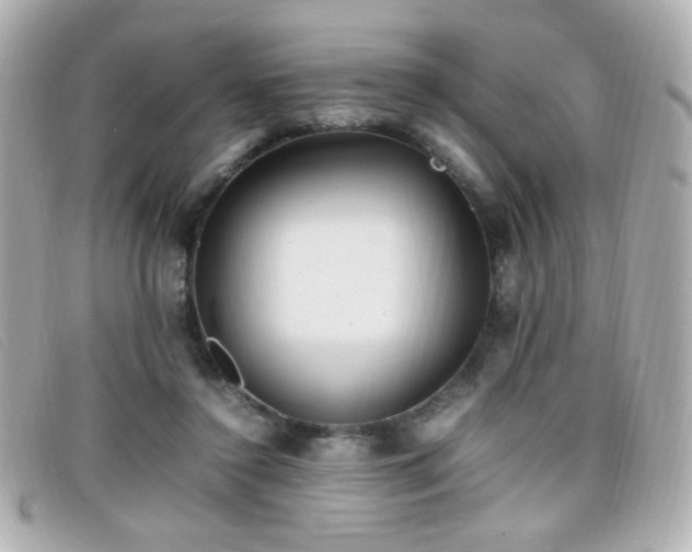 X0000099430356200805091255