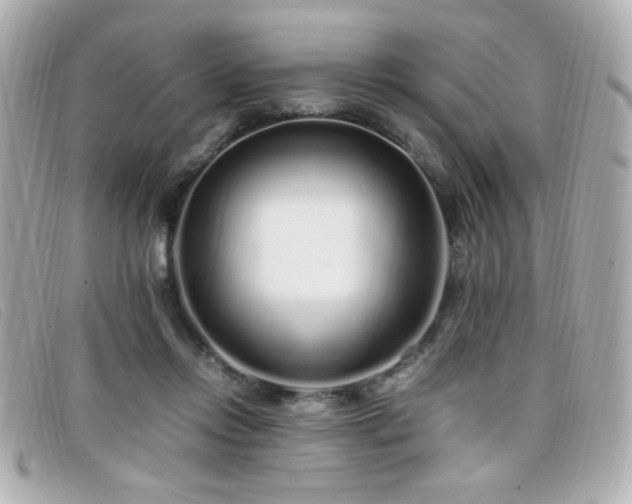 X0000099430358200805091255