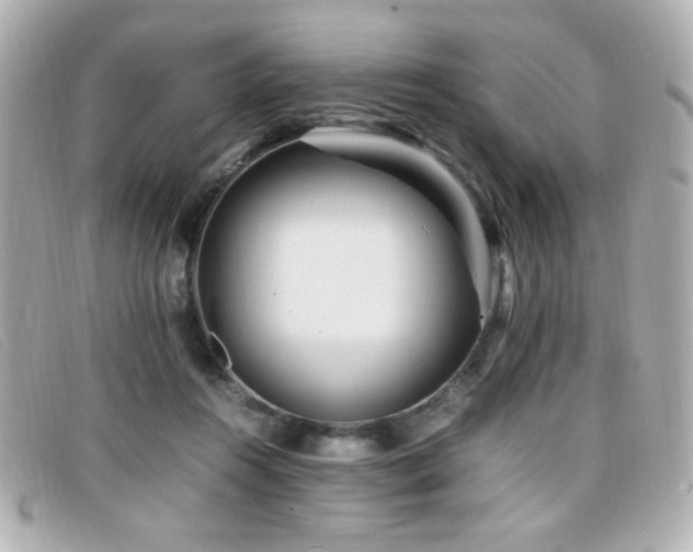 X0000099430360200805091255