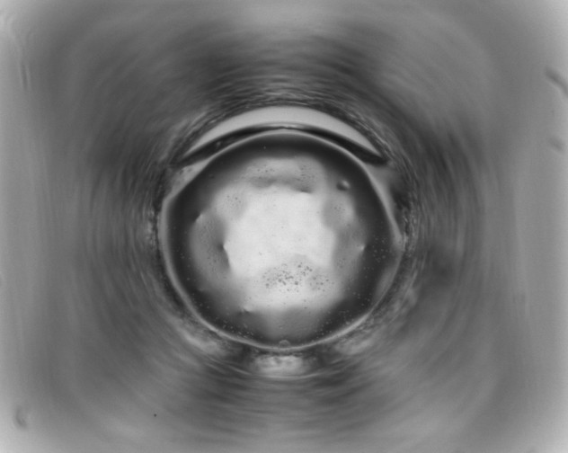 X0000099430361200805091255