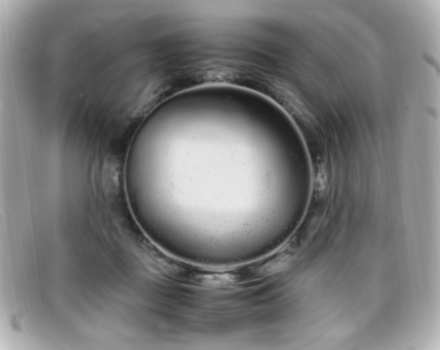 X0000099430363200805091255