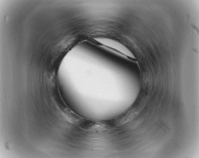 X0000099430364200805091255
