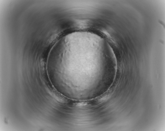 X0000099430366200805091255