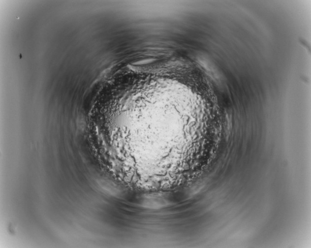 X0000099430367200805091255