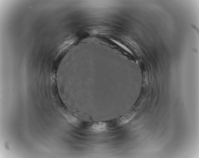 X0000099430369200805091255