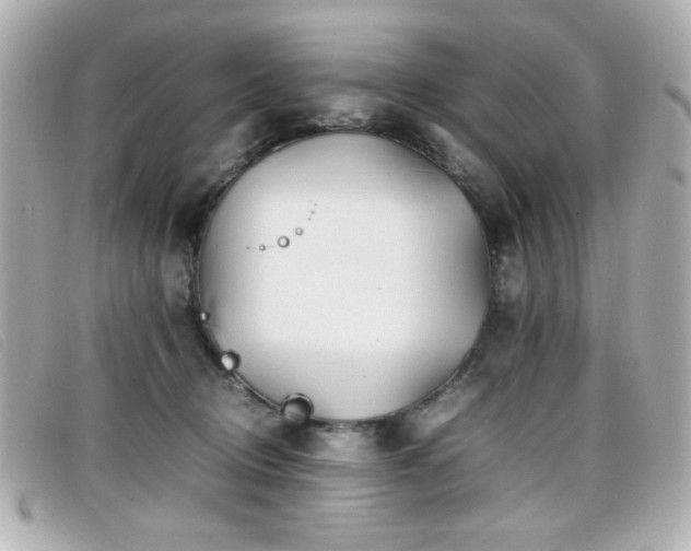 X0000099430370200805091255