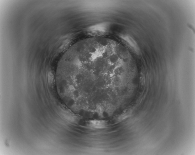 X0000099430371200805091255