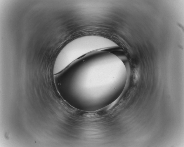 X0000099430372200805091255