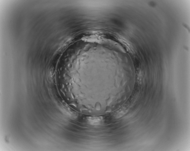 X0000099430373200805091255