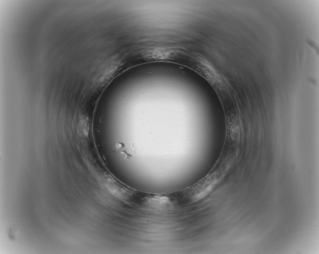 X0000099430374200805091255