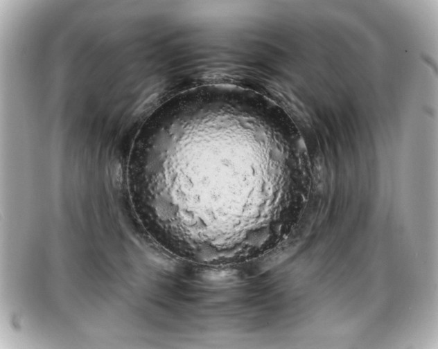X0000099430375200805091255