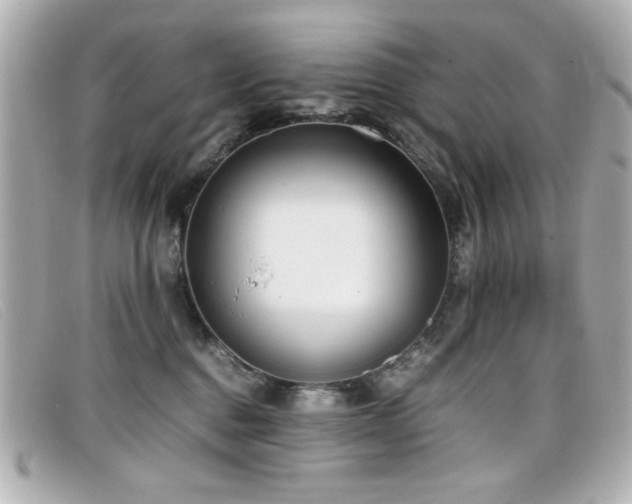 X0000099430376200805091255