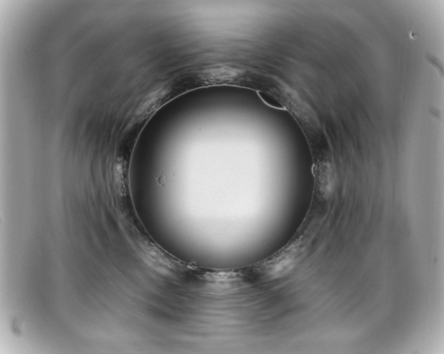 X0000099430378200805091255