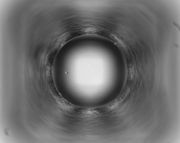 X0000099430379200805091255