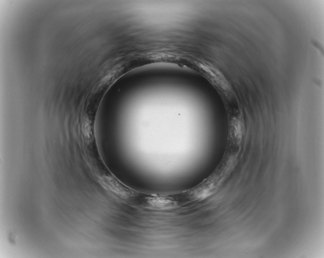 X0000099430380200805091255