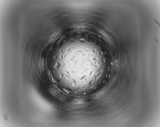 X0000099430381200805091255