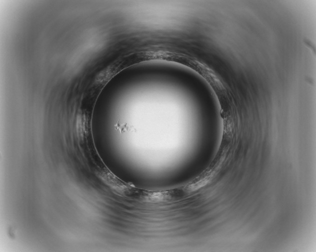X0000099430382200805091255