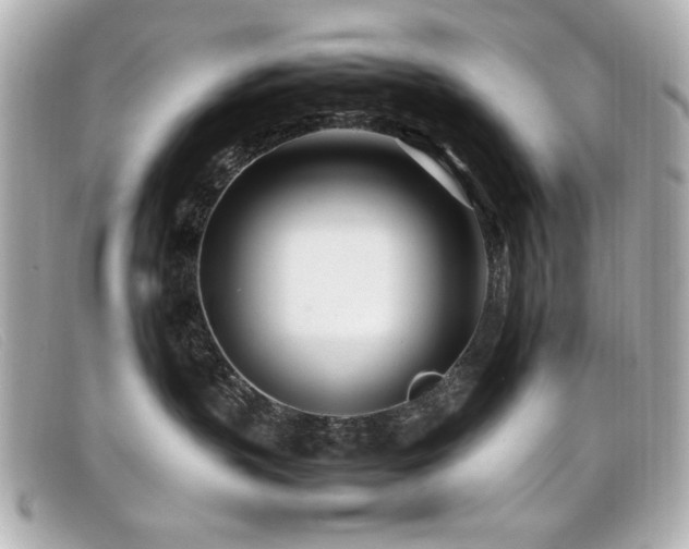 X0000099430383200805091255