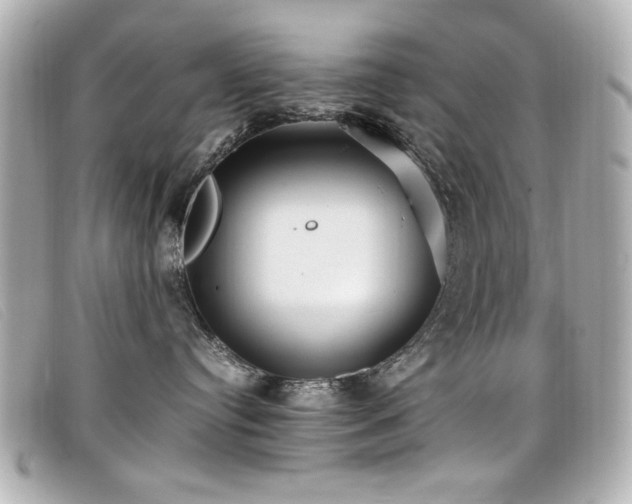 X0000099430384200805091255