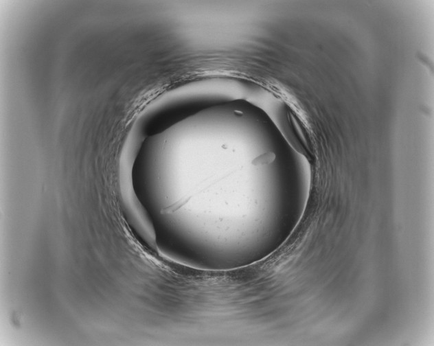 X0000099430385200805091255