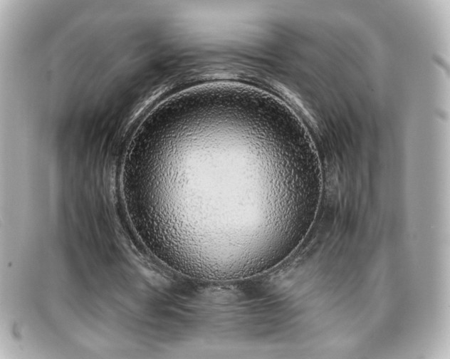 X0000099430386200805091255