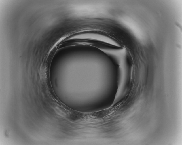 X0000099430387200805091255