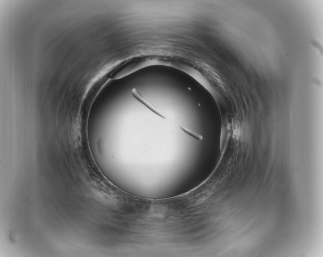 X0000099430388200805091255