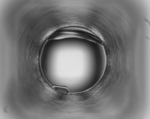 X0000099430389200805091255