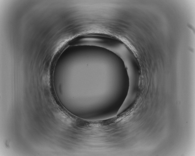 X0000099430391200805091255