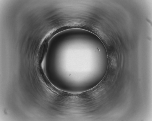 X0000099430392200805091255