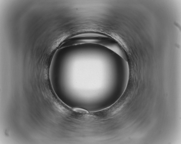 X0000099430393200805091255