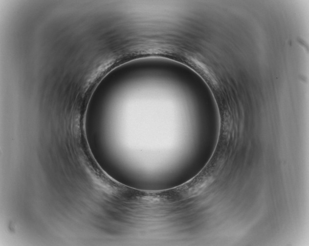 X0000099430394200805091255
