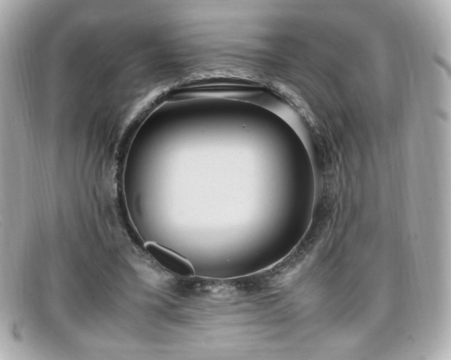 X0000099430395200805091255