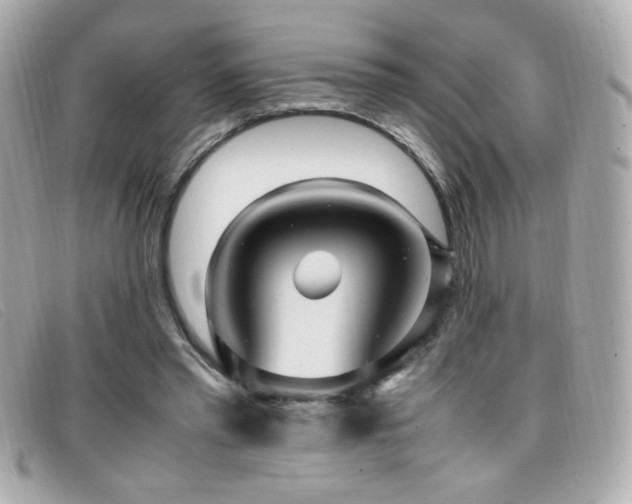 X0000099430397200805091255