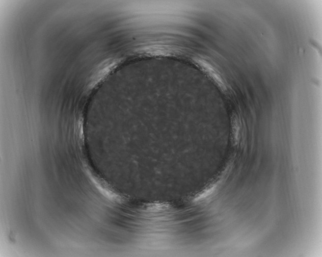 X0000099430398200805091254