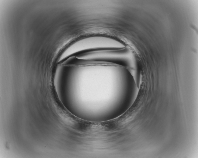 X0000099430399200805091254