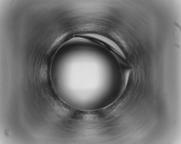 X0000099430400200805091254