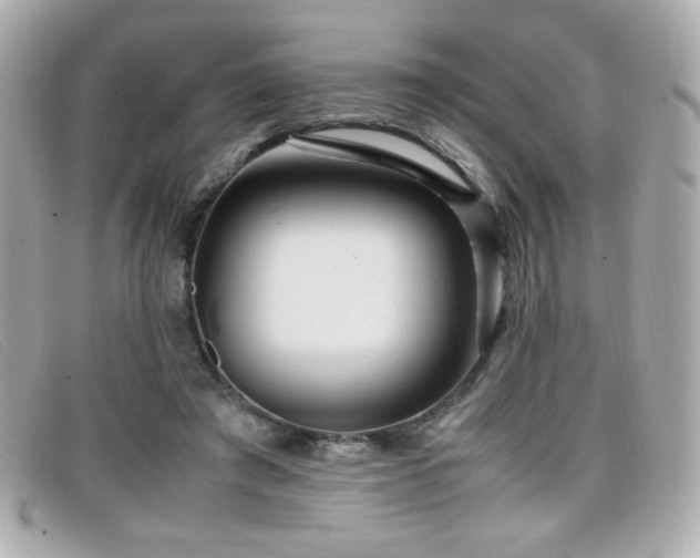 X0000099430401200805091254