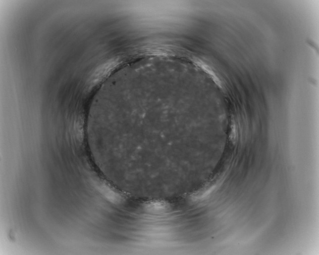 X0000099430402200805091254