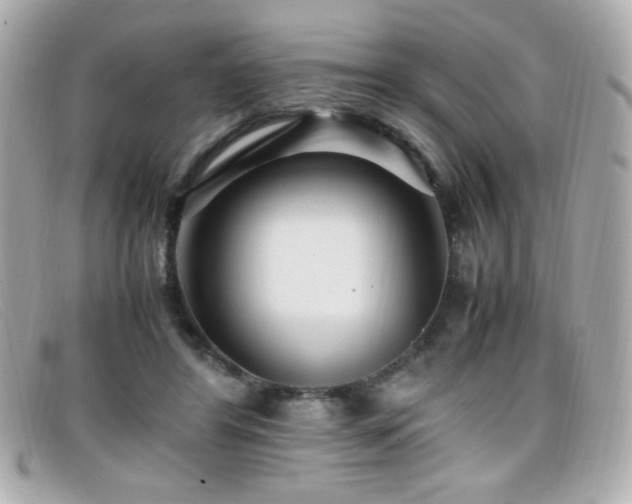 X0000099430404200805091254
