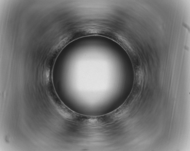 X0000099430406200805091254